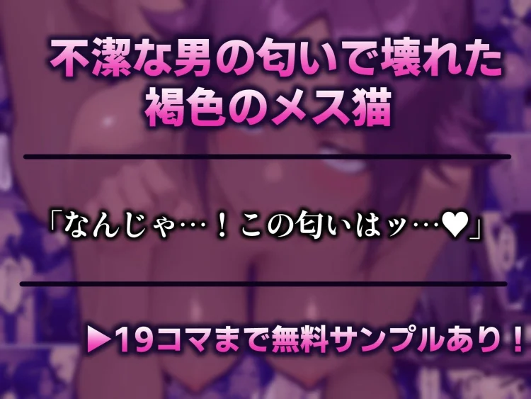 夜一さんが僕の霊圧で発情するなんて聞いてません！！ 画像1