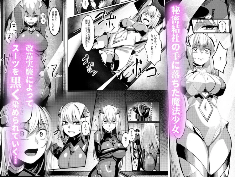 魔法少女セイントリリィ・戦乙女  〜敵組織に洗脳調教された魔法少女が性処理戦闘員に堕ちるまで〜 画像3